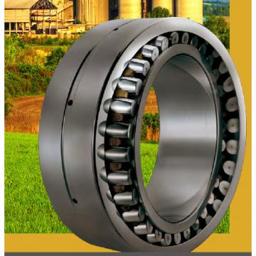 roller bearing NNCL4876V