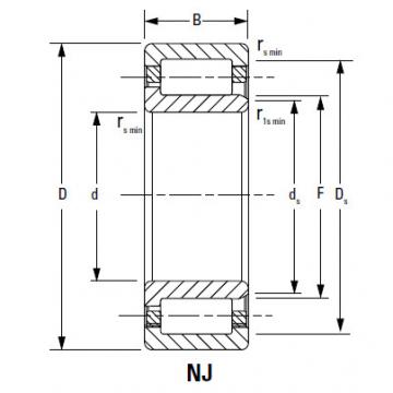 CYLINDRICAL ROLLER BEARINGS ONE ROW NJ1044MA