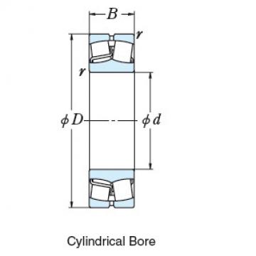 Bearing SPHERICAL ROLLER BEARINGS NSK 22222EAE4