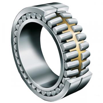 roller bearing NNCL4876V