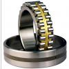 Bearing CYLINDRICAL ROLLER BEARINGS NNU40/530MAW33 NNU49/670MAW33