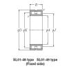 Bearing NTN Type SL  Cylindrical Roller Bearings SL01-4838