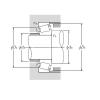 Bearing Tapered Roller Bearings Single Row 29875/29820