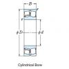 Bearing SPHERICAL ROLLER BEARINGS NSK 1470SL1961E4