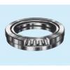 NSK Roller Bearing 29268