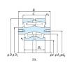 Bearing NSK Roll Bearings for Mills 2SL180-2UPA