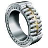 roller bearing NNC4868V