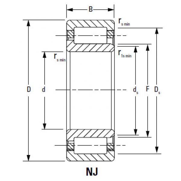 CYLINDRICAL ROLLER BEARINGS ONE ROW NJ1044MA #1 image