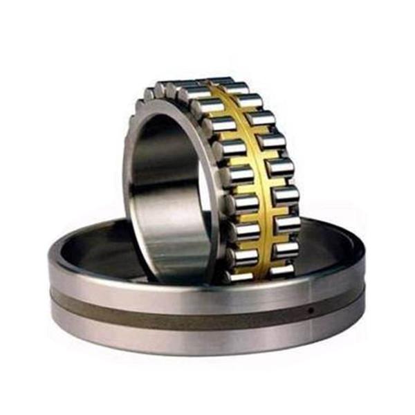 Bearing Double row cylindrical roller bearings NN30/600 #1 image