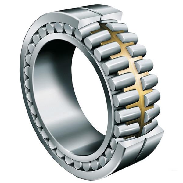 roller bearing NNC48/500V #1 image