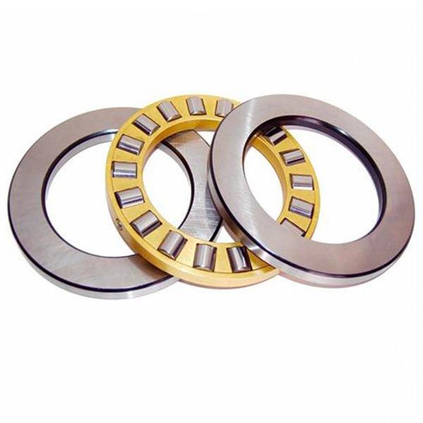 NSK CYLINDRICAL ROLLER THRUST BEARINGS 110TMP93 #1 image